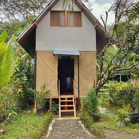 Cabana Equipada Puerto Jimenez Luaran gambar